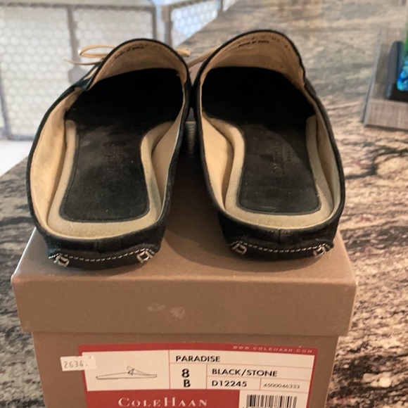 Slip in slides - Picture 3 of 3